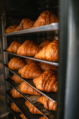 Fresh baked croissants on oven