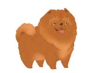 Chow Chow Dog