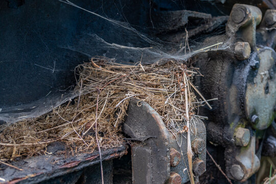 Verlassenes Vogelnest mit Spinnennetz auf einem Eisenbahnrad
