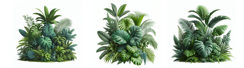 Fototapeta premium Green leaves of tropical plants bush floral arrangement indoors garden nature backdrop isolated on white background. Nature backdrop.