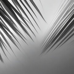 Soft focus gray grain texture black and white refraction wall . Light and shadow smoke abstract copy space background. Palm leaf.