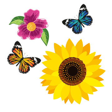 mariposas y flores para decorar tus cuadernos o ilustrar tus proyectos educativos.