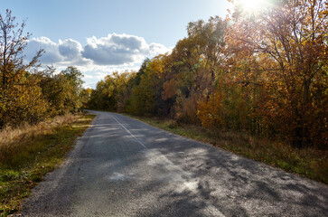 Asphalt country road near trees. A bend road at rural Europe