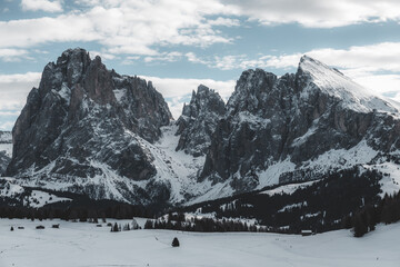 alpe di siusi view