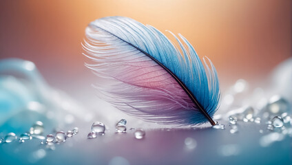  Beautiful feather, drop of water, color background design
