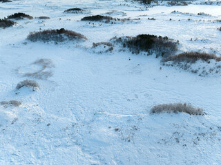 The peatland in Gule-/Stavikmyrane nature reserve in winter ( More og Romsdal, Norway).
