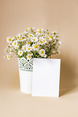 Mockups with postcard