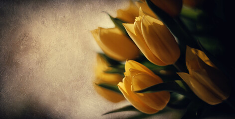 Obraz premium Kartka, wiosenne kwiaty tulipanów, miejsce na tekst, życzenia