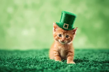 Foto op Plexiglas cute cat with green hat and costume celebrating Saint Patrick's Day. Saint Patrick day card with green background © id512