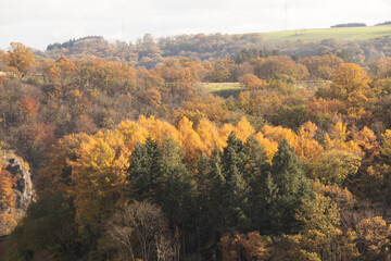 Fototapeta premium Rocky environment near the town of Dinant in Wallonia region, Belgium with a watercourse that forms natural meanders in autumn colour. The sunset illuminates a colourful forest