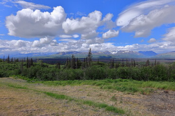 Fototapeta premium Denali National Park, Alaska, USA,