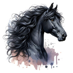 Black horse. Head. Stallion. Portrait. Watercolor. Isolated illustration on a white background. Banner. Close-up. Generative AI