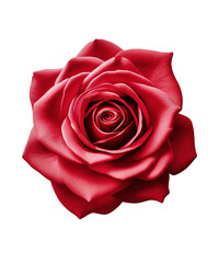 Fototapeta premium illustration of beautiful roses flower for celebrate valentine day ai generated 