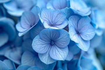 Beautiful Bouquet of Blue Hydrangea Flowers AI Generated
