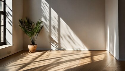 aesthetic empty room with natural shadow
