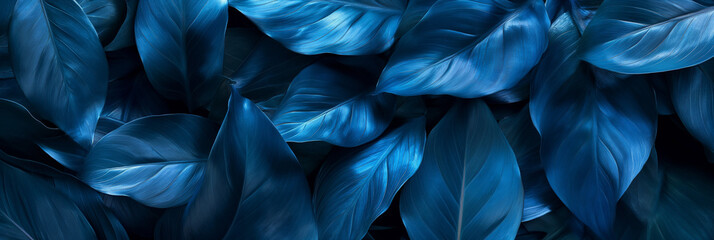 Exotic tropical leaves background with blue  hawaiian plants and flowers. 