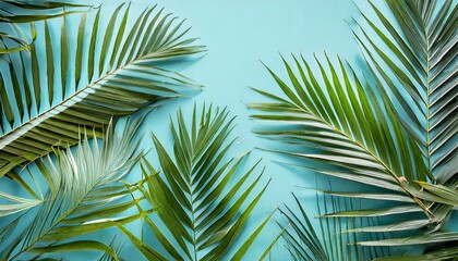tropical palm leaves on light blue background minimal nature summer styled flat lay image is approximately 5500 x 3600 pixels in size - obrazy, fototapety, plakaty