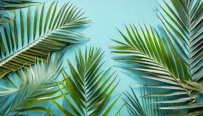 Poster tropical palm leaves on light blue background minimal nature summer styled flat lay image is approximately 5500 x 3600 pixels in size © Marcelo