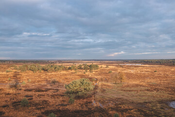 Panoramic view of the Belgian wildlife at Grenspark Kalmthoutse Heide near Antwerp in northwest Belgium