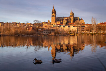 Salamanca Skyline view with Cathedral and Enrique Estevan Bridge on Tormes River, Spain - obrazy, fototapety, plakaty