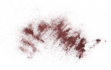 Aronia berries in powder isolated on white, top view