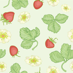 Vector repeat pattern of blooming strawberries on a mint green background  