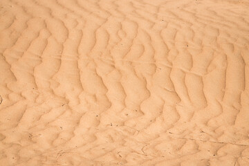 Texture of sand in the hot summer desert of Kyzylkum in Uzbekistan on a summer day