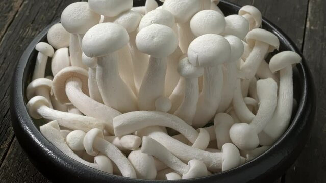 White Shimeji mushrooms, rotation in a circle. Store-bought fresh bunapi-shimeji mushrooms in a bowl. 