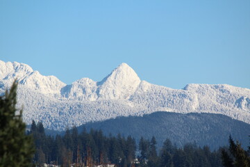 snow covered mountains