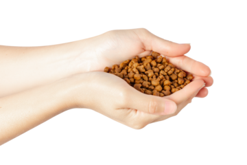 Hands Holding Dry Pet Food: Nourishing Care for Furry Friends