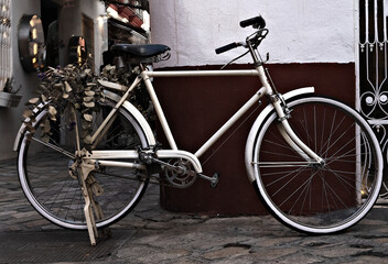 Fototapeta na wymiar Bicicleta urbana