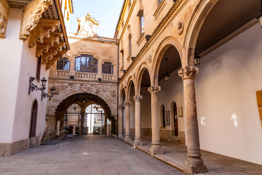 The Salina Palace is a building built in Plateresque style in Salamanca, Spain