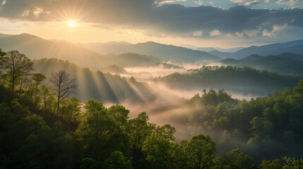 Fototapeta na wymiar Great Smoky Mountains National Park, with fog gently rolling over the hills, and rays of sunlight piercing through, in vivid, realistic detail