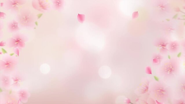 Spring background. Pink petals fall. Soft touch cherry blossom illustration.loop video.(080)
