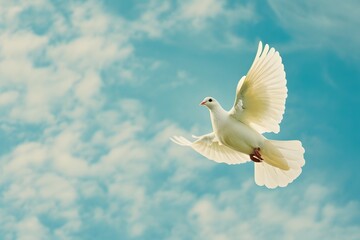 Fototapeta premium A white dove soaring against a clear blue sky
