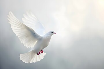 a dove in mid-flight, bathed in ethereal light