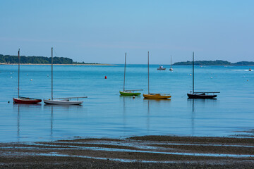 A line of colorful sailboats at anchor in a calm bay at low tide.