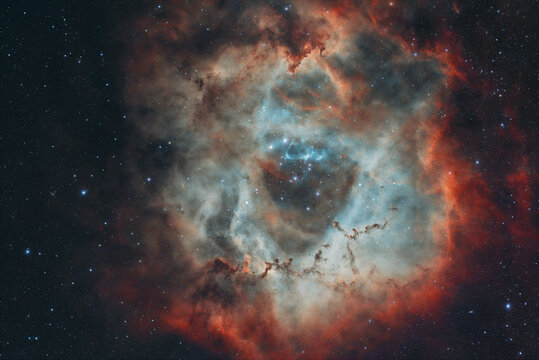 C49 Nebula