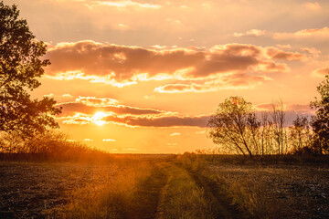 A dirt road in a field, surrounded by trees and bushes, leading towards the horizon, against the...