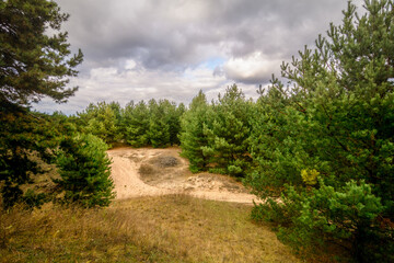 Sandy hills with dry grass and a dirt road, surrounded by lush green coniferous trees, against a backdrop of blue sky and white clouds.