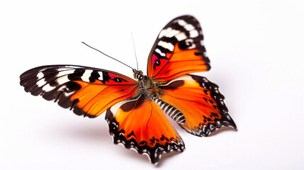 Fototapeta na wymiar beautiful butterfly isolated on white. Beautiful monarch butterfly isolated on white. AI Generative