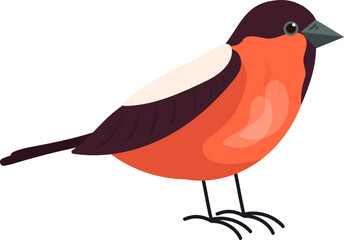 Bird Animal Standing