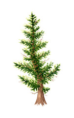 Watercolor illustration of a lush green pine tree. Forest plant element from spruce or pine. Christmas tree object isolated on white background. Evergreen pine for decorating a garden, forest, park