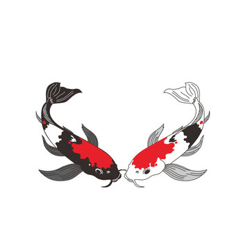 Koi fish vector style with transparent background