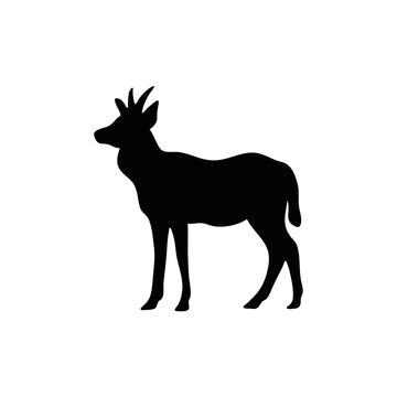 silhouettes of reindeer
