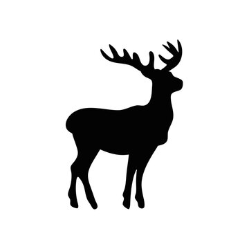 silhouettes of reindeer