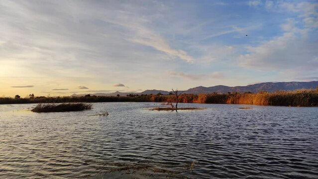 Sunset in the El Hondo Natural Park, Crevillent, Alicante, Valencian Community, Spain.