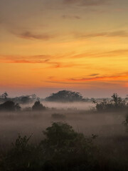Fototapeta premium Brilliant Orange Sunrise Over Everglades