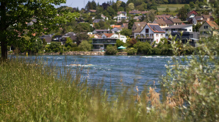 Fototapeta na wymiar Idyllic River Flowing Through Picturesque Green Countryside at Rhine Falls, Switzerland