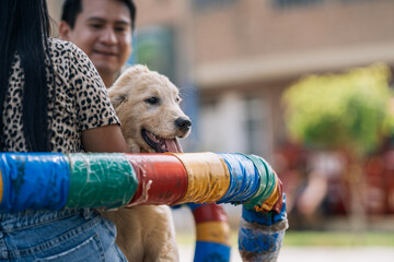 Couple with their new puppy dog on a park